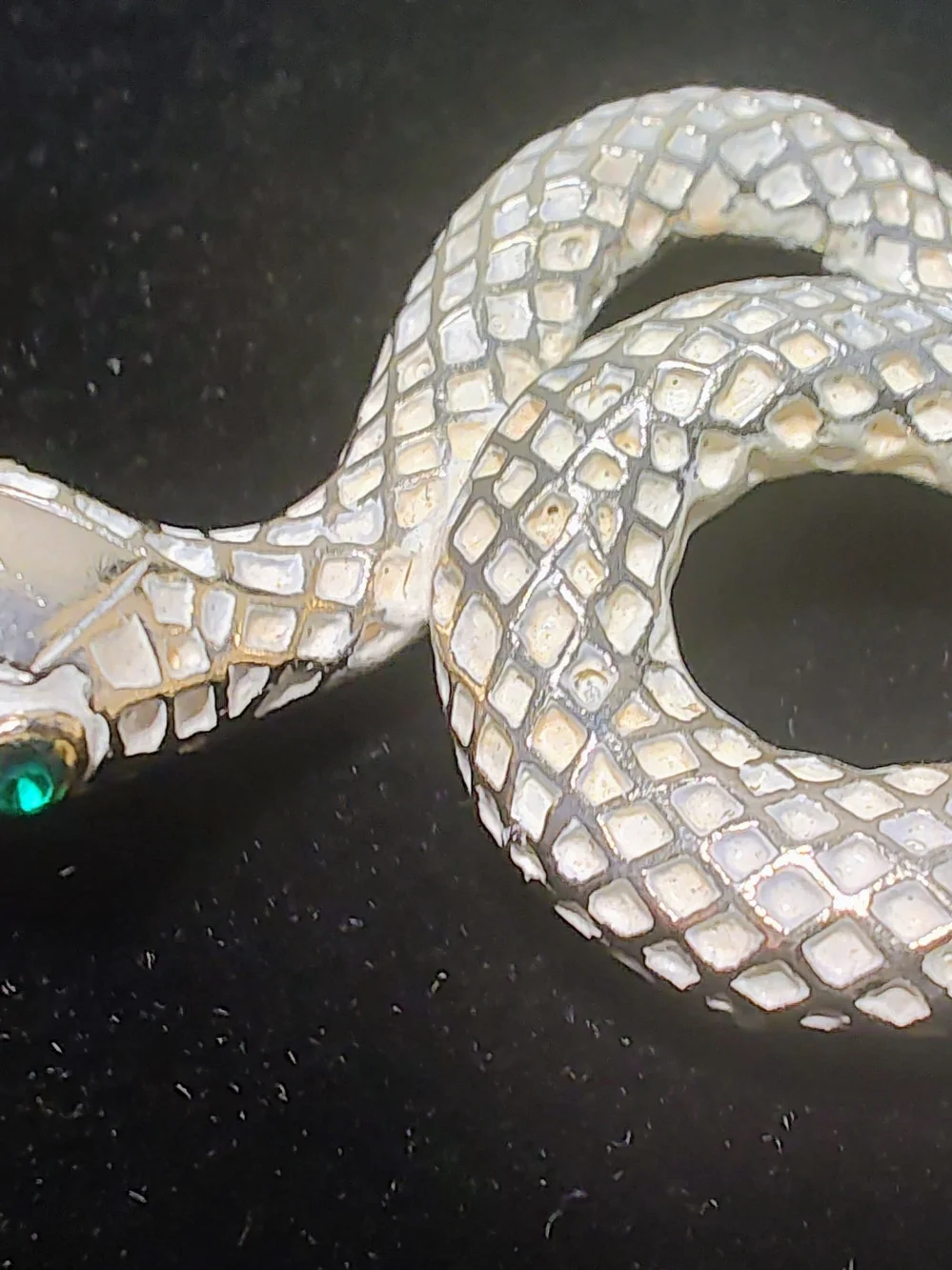 Source Unknown elegant snake